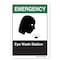 Signmission ANSI Emergency, Decal, 18" x 12", Landscape, Eye Wash Station, Eye Wash Station OS-ES-D-1218-L-19906 - alternate 1